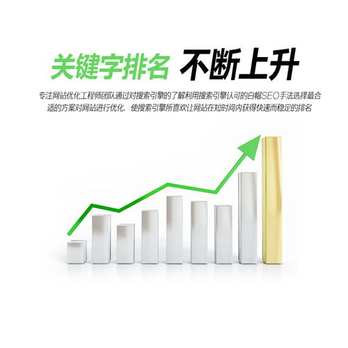 延安網(wǎng)絡(luò)推廣新策略 西安奇搜網(wǎng)絡(luò)公司助您開(kāi)啟高清視覺(jué)營(yíng)銷(xiāo)新時(shí)代